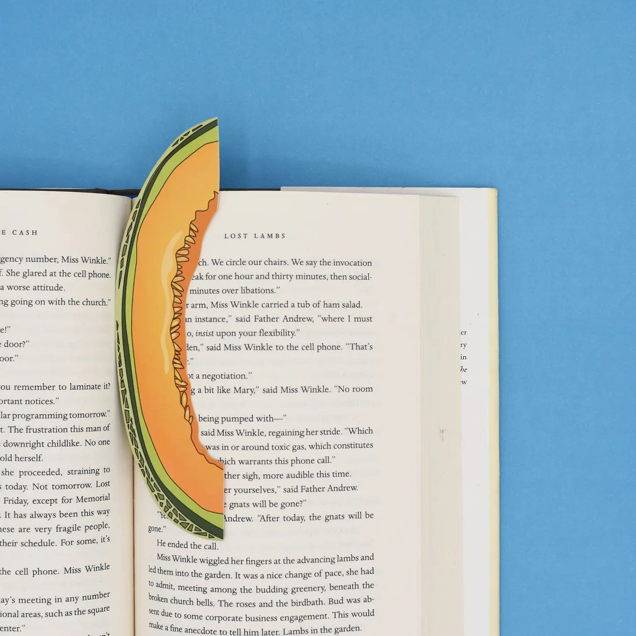 Cantaloupe Slice Bookmark