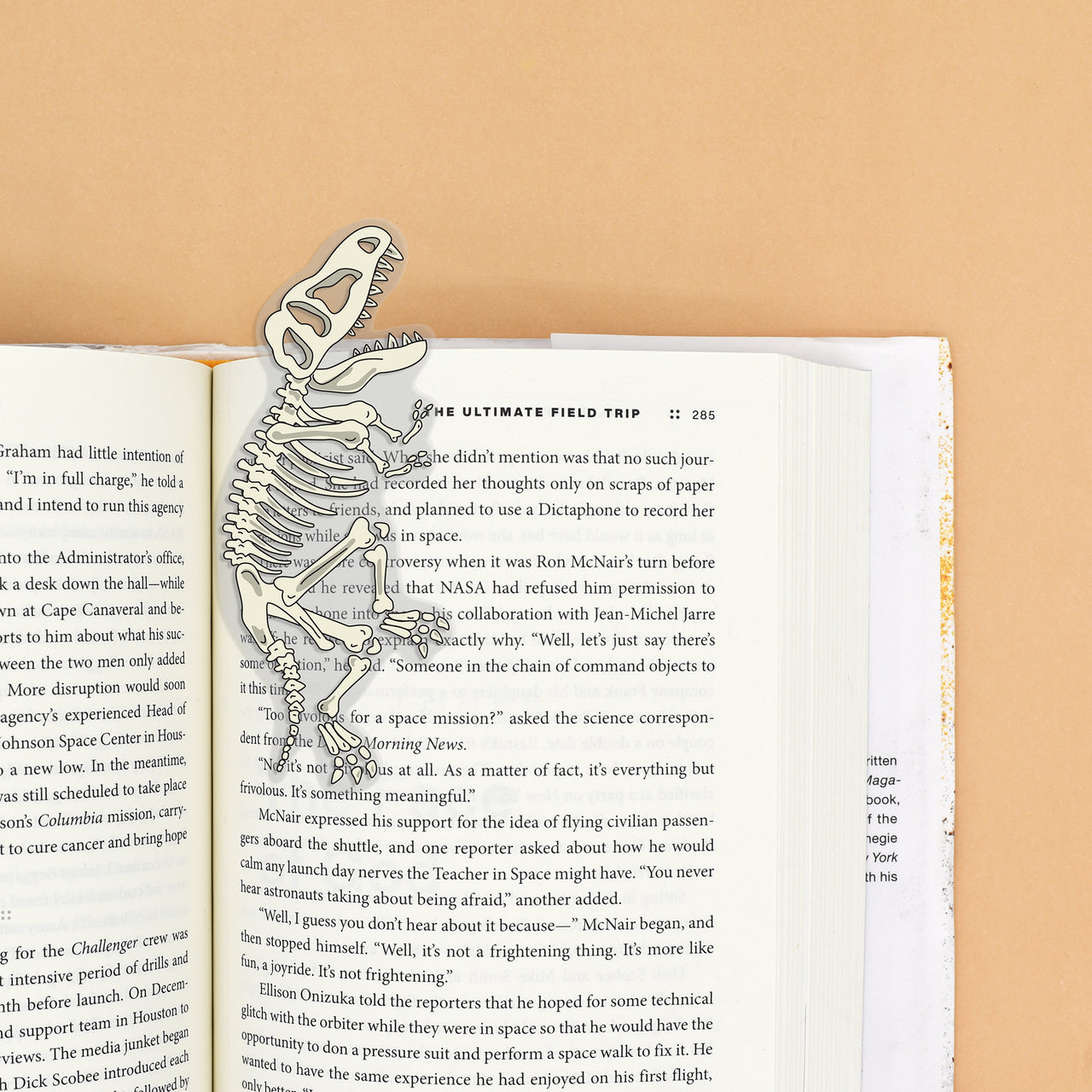 Dinosaur Bones Bookmark