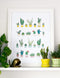 Succulents Print